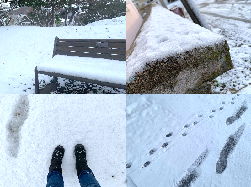 函館での雪体験
